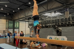 IMG-20250609-WA0005
