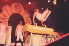 Faschingssitzung 2018_6