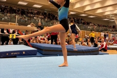 © tlw.  H. Lachinger u. L. Maier