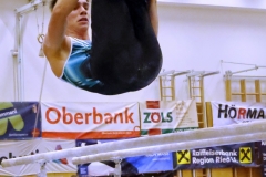 ©  H. Lachinger u. L. Maier