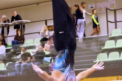 © H. Lachinger u. L. Maier