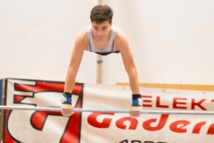 ©H. Lachinger u. L. Maier