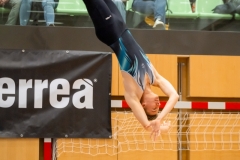 © H. Lachinger u. L. Maier