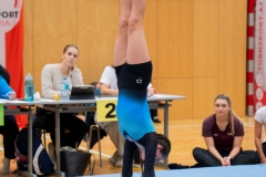 © H. Lachinger u. L. Maier