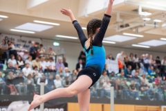 © H. Lachinger u. L. Maier